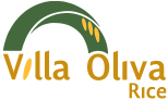 Villa Oliva Rice